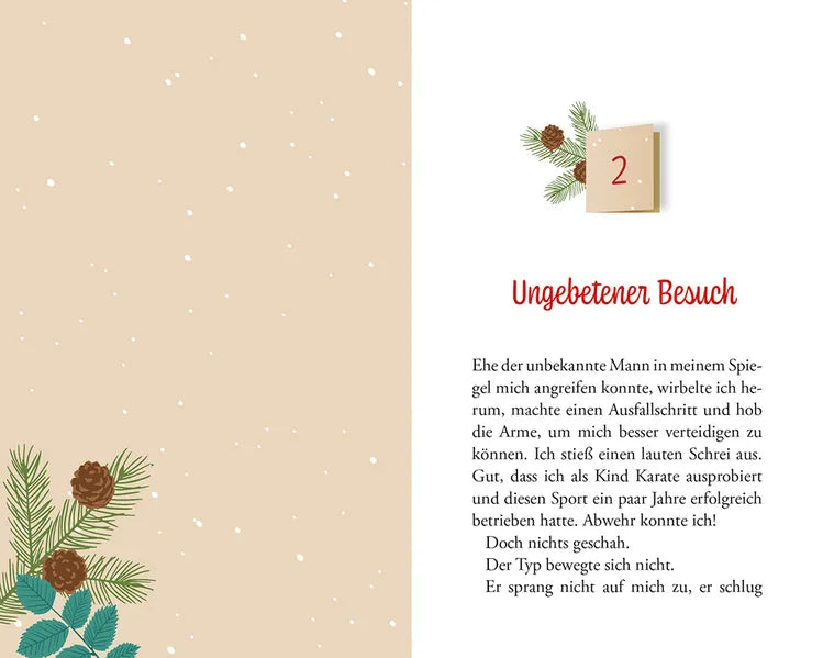 entf-hrt-im-advent-kein-krimi-buch-schuber-24-kapitel-novelle image 4