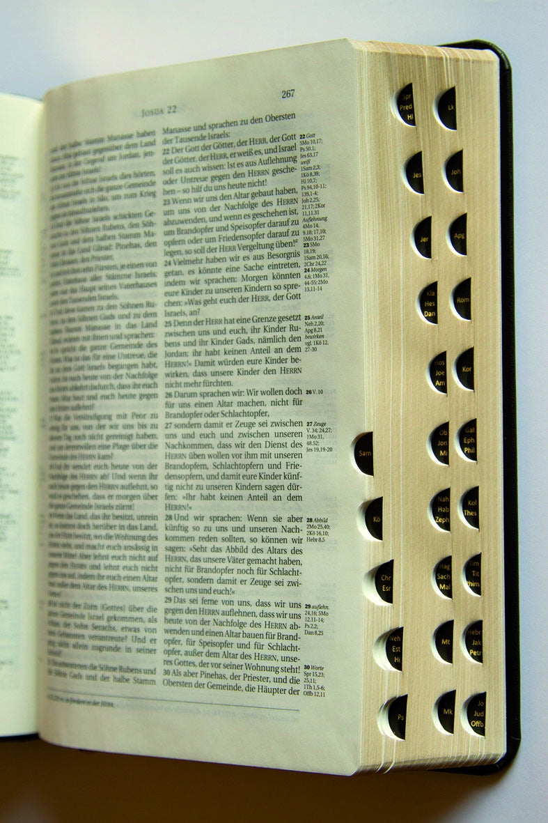 schlachter-bibel-2000-kalbsleder-flexibel-goldschnitt-bibel image 2