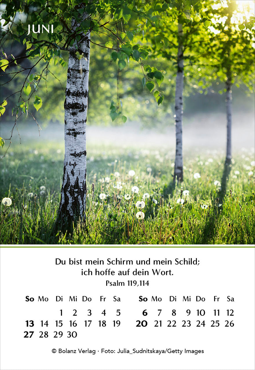 ein-jahr-der-hoffnung-2027-minikalender-natur image 8