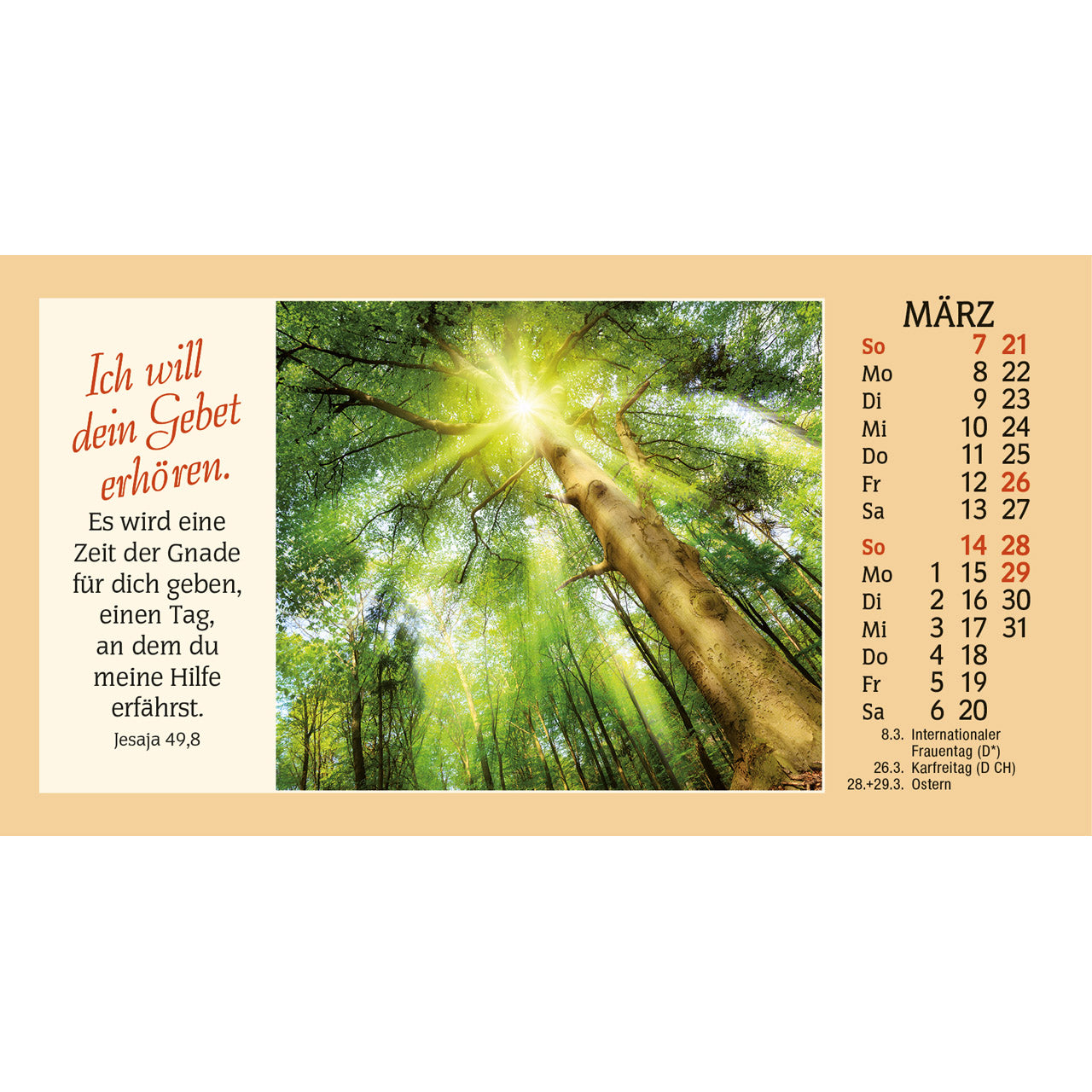 auf-allen-wegen-2027-autokalender-komplett-set-mit-h-lle image 5