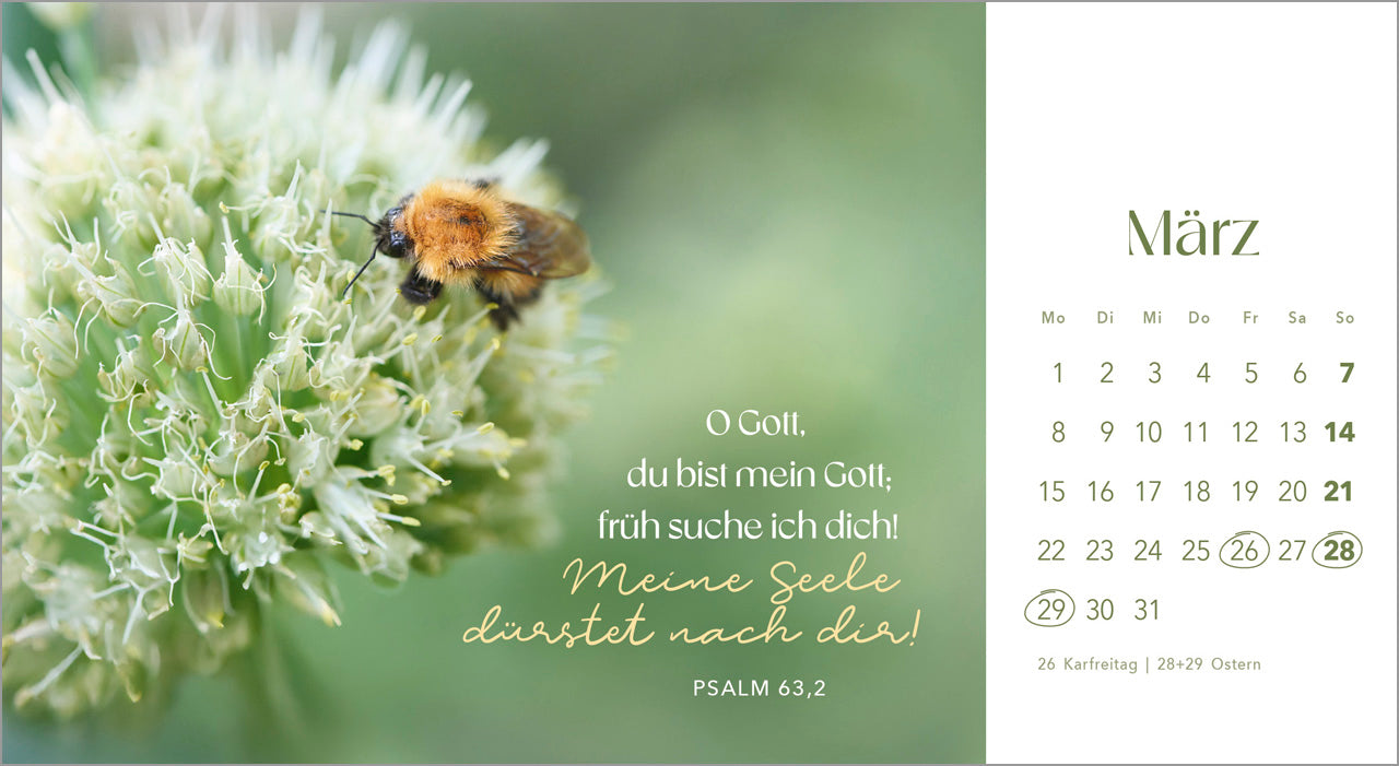 augenblicke-der-anbetung-2027-postkartenkalender-blumen image 5