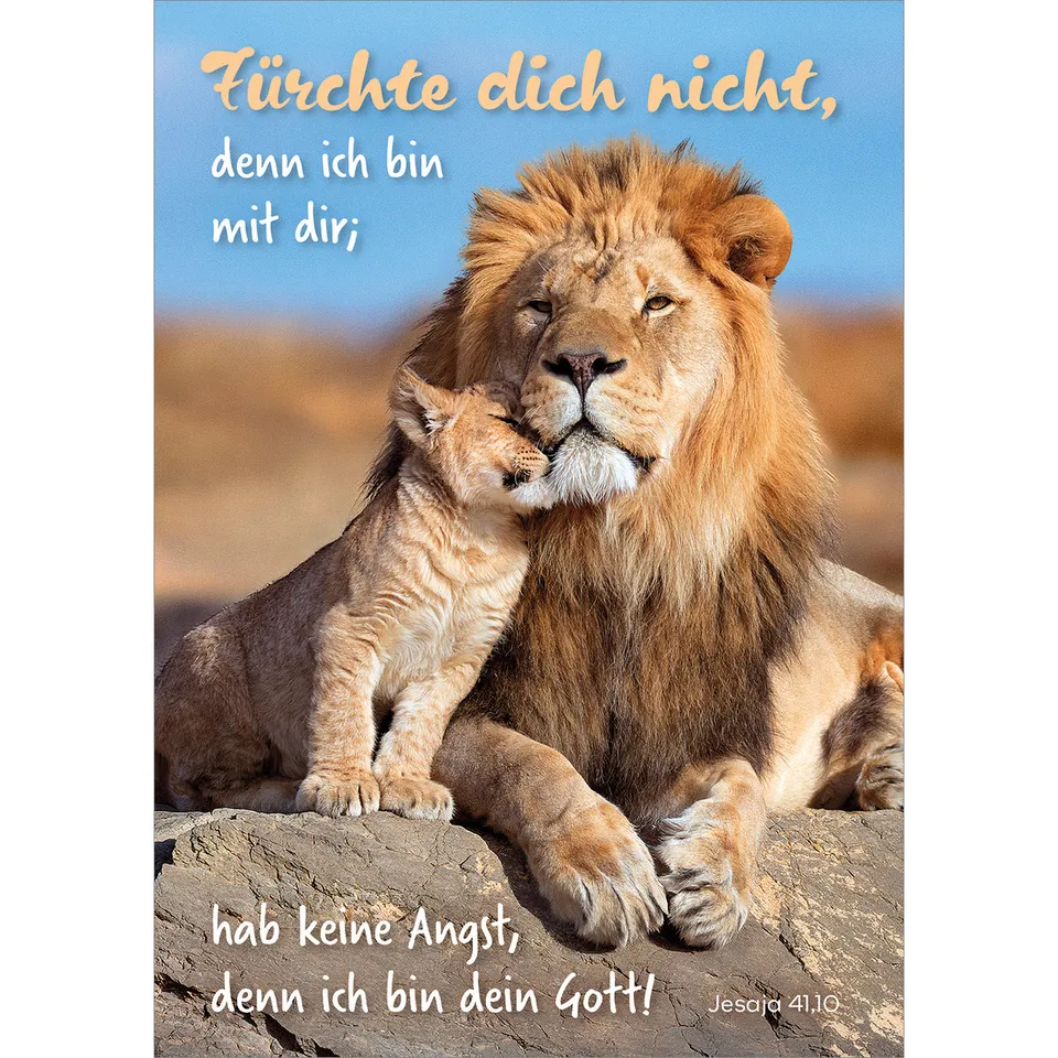 fontis-papeterie-f-rchte-dich-nicht-postkarten-12er-tier-2027 image 1