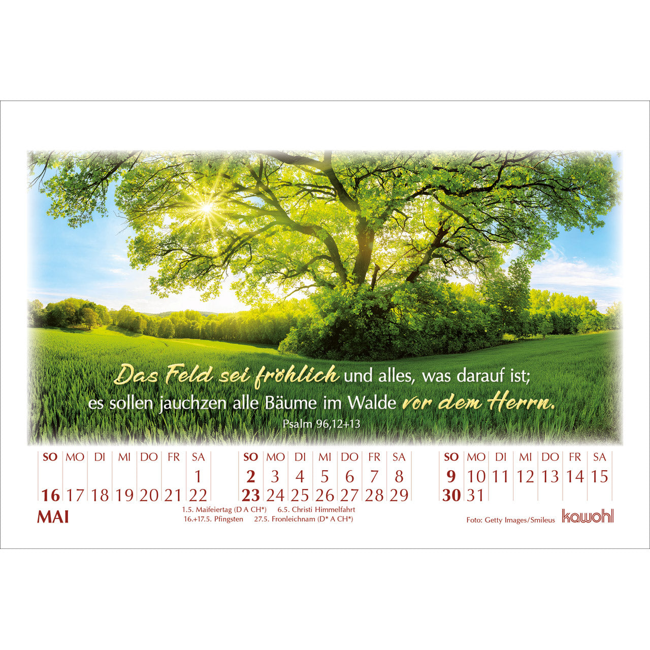 fontis-kalender-in-seinem-licht-2027-aufstellkalender-bibelwort image 7