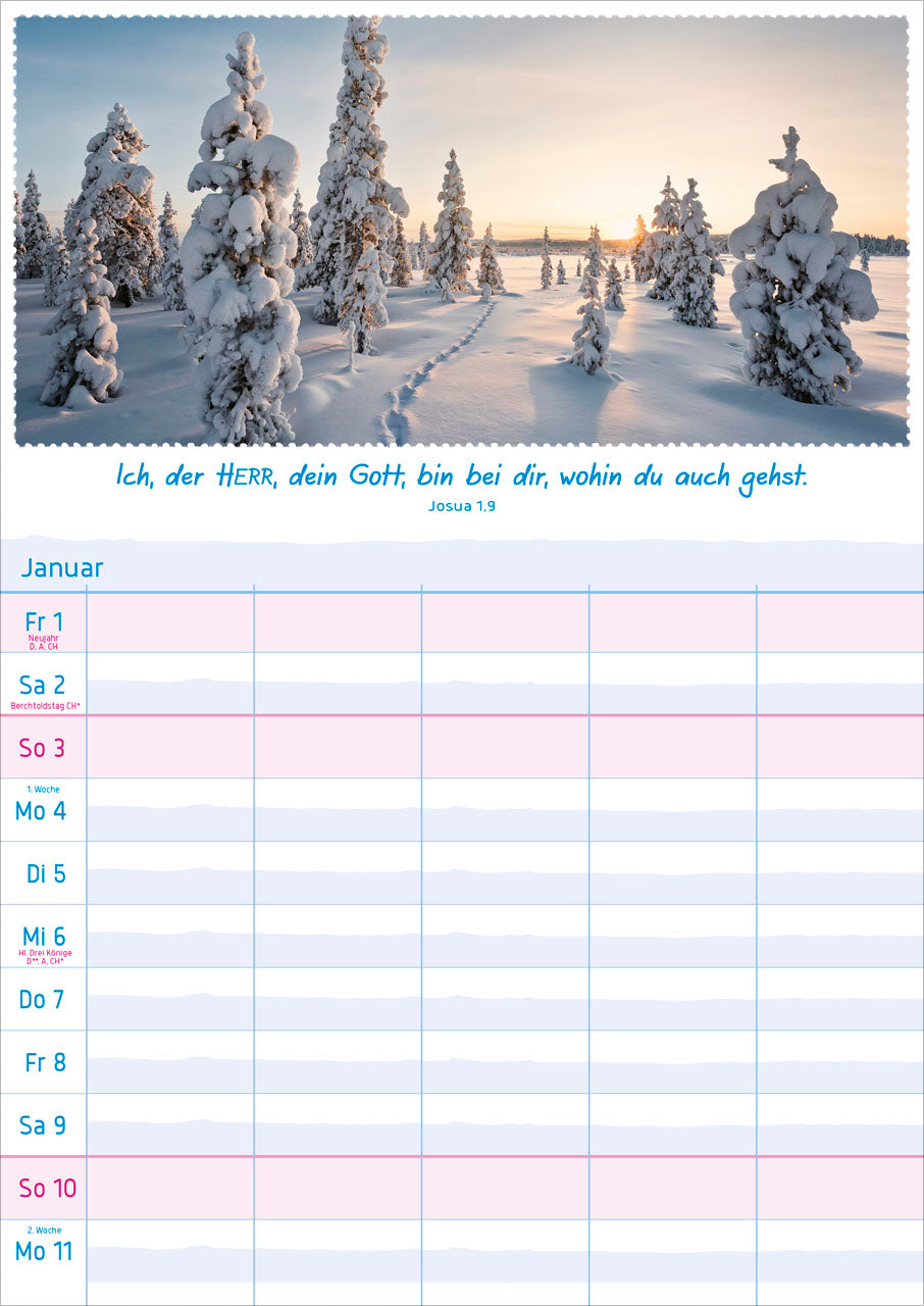 fontis-kalender-multiplaner-2027-wandplaner-5-spalten image 2