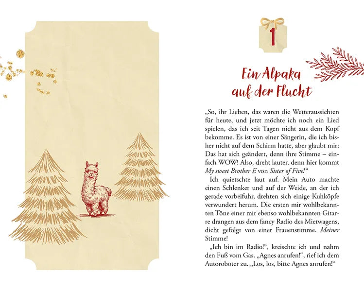 felicitas-brandt-vier-alpakas-und-ein-weihnachten-roman-advent image 2