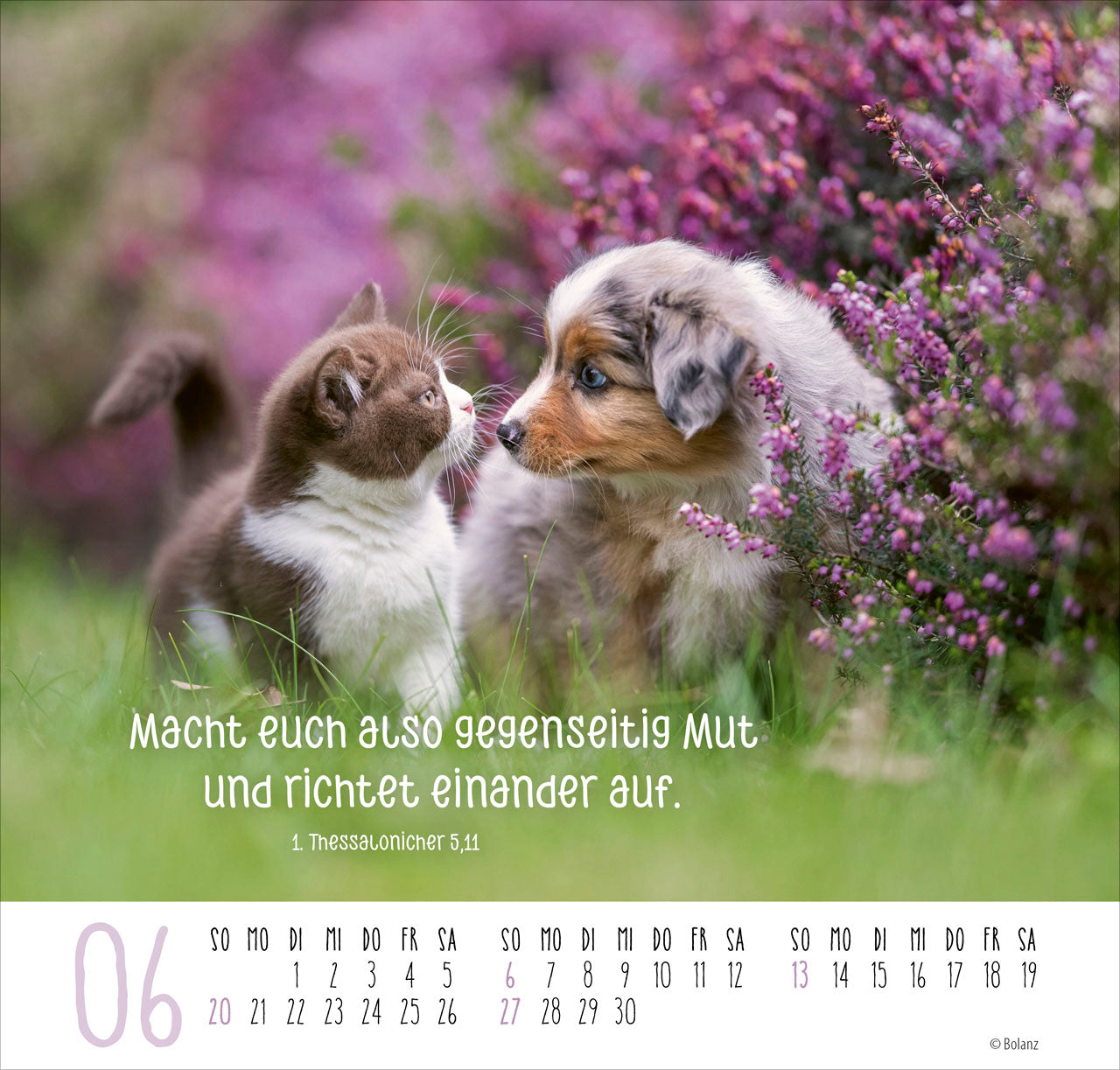 bolanz-beste-freunde-ich-mag-dich-2027-posterkalender image 8