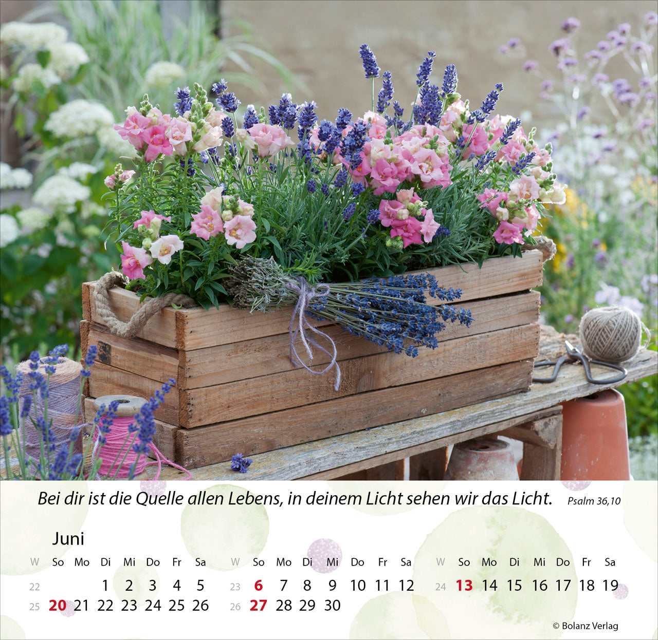fontis-g-rten-2027-postkartenkalender-mit-bibelversen image 8