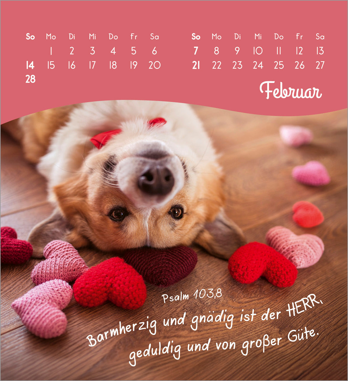 fontis-kalender-von-herzen-ein-gl-ckliches-jahr-2027-tischkalender image 4