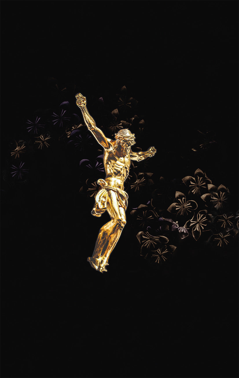 fontis-hoffnung-f-r-alle-golden-jesus-edition-bibel-deluxe-gro-format image 1