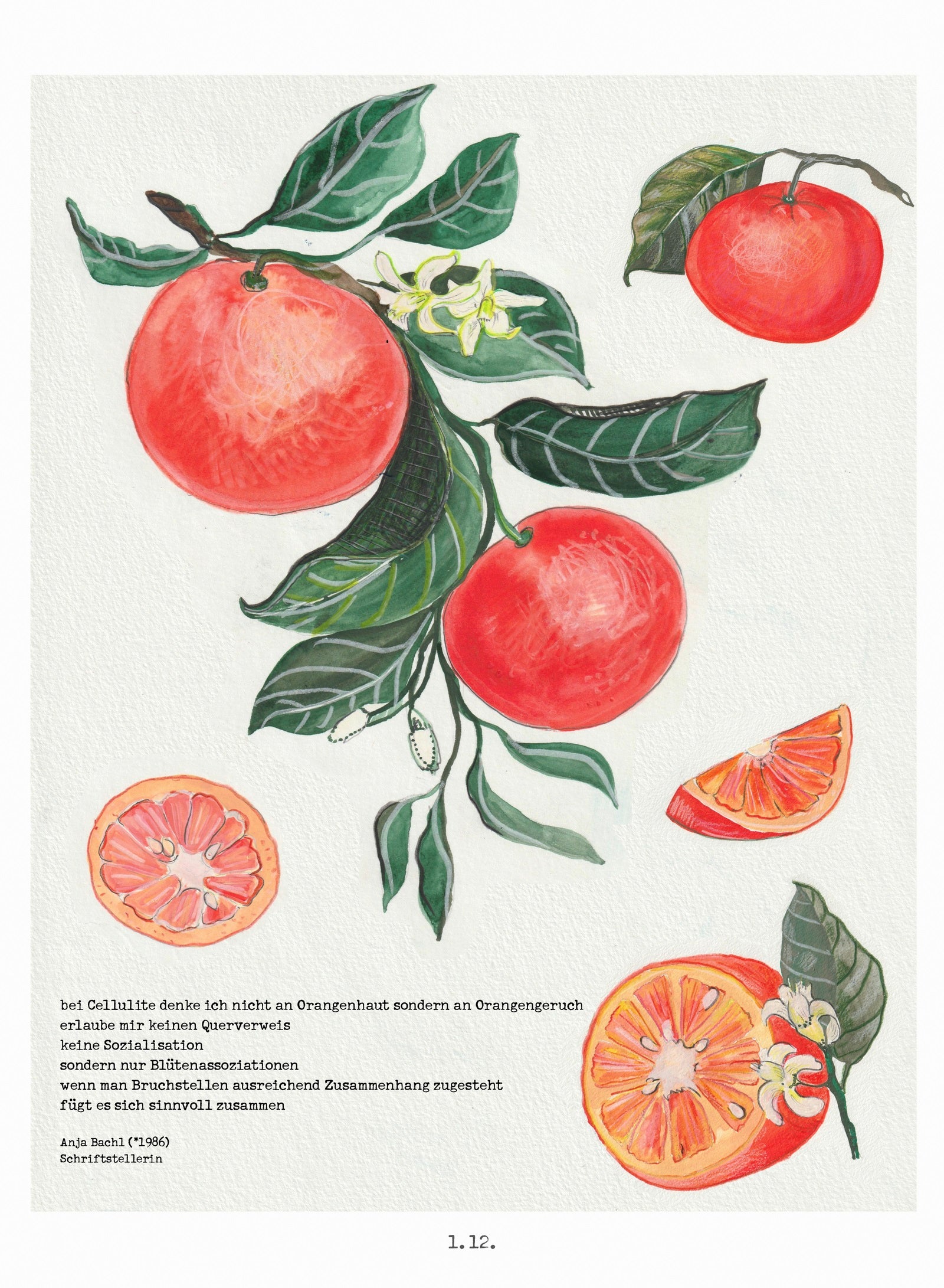 fontis-kalender-lichtungen-2026-adventskalender-wand-22x30 image 3