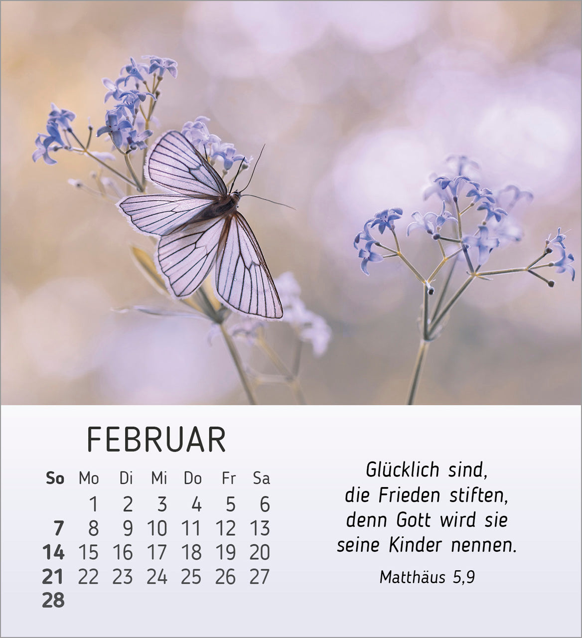 fontis-stille-begegnungen-2027-aufstellkalender-natur-bibelverse image 4