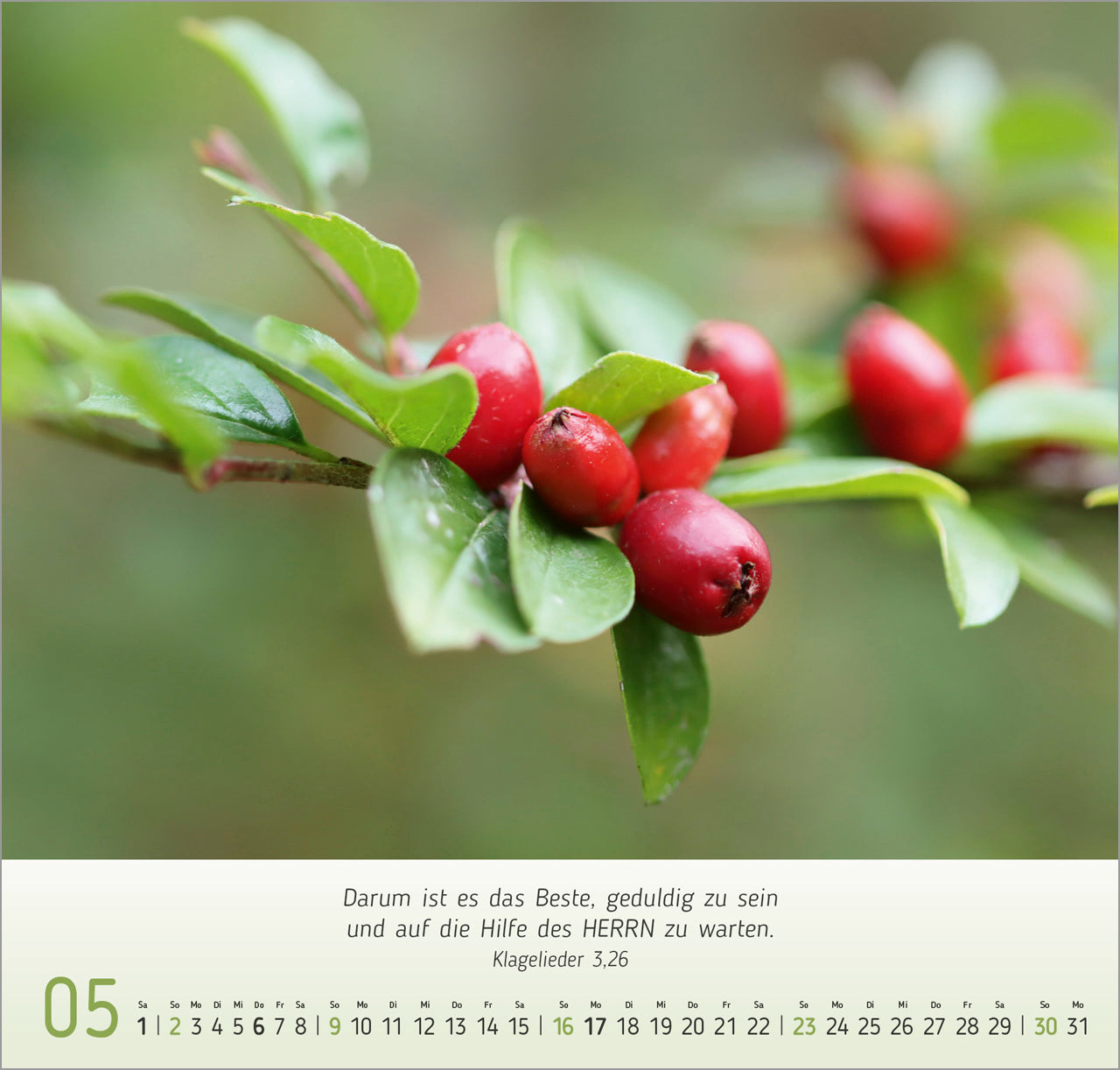 fontis-kalender-gesichter-der-natur-2027-wandkalender-bibelverse image 7