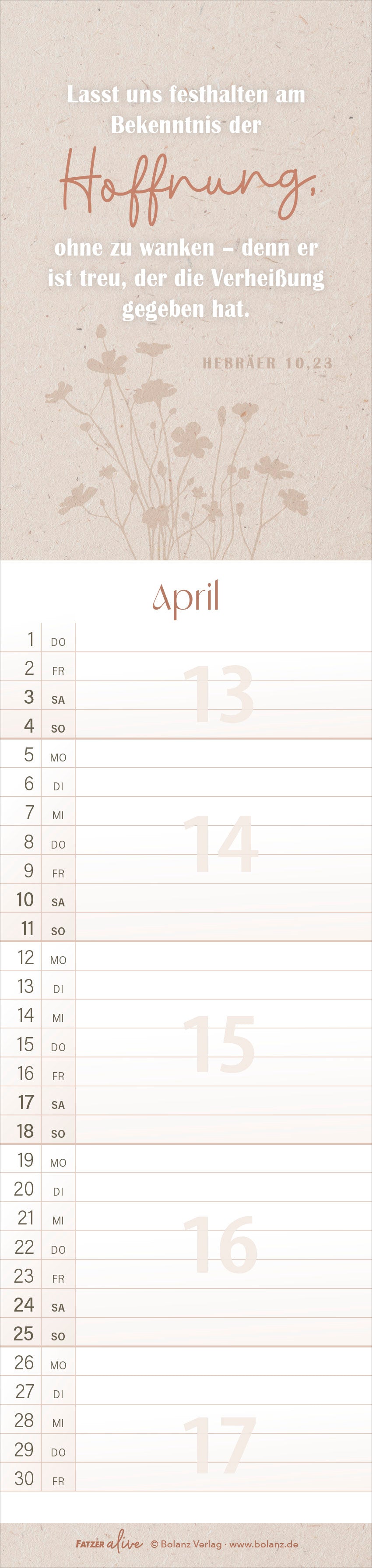 fontis-kalender-erf-llt-leben-2027-streifenterminer-spiralbindung image 6