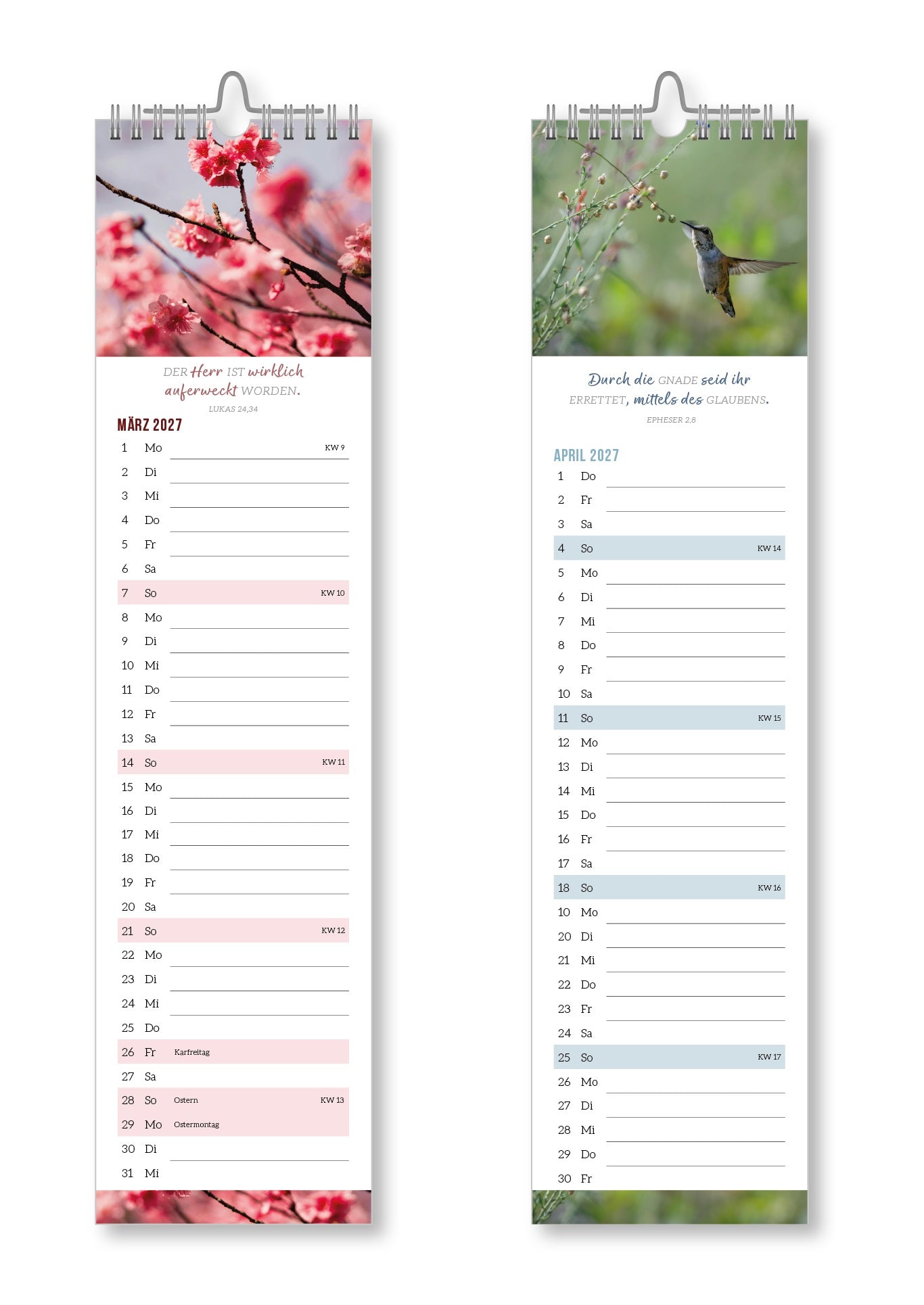fontis-kalender-mit-zuversicht-2027-streifenterminer-wand-spiralbindung image 2