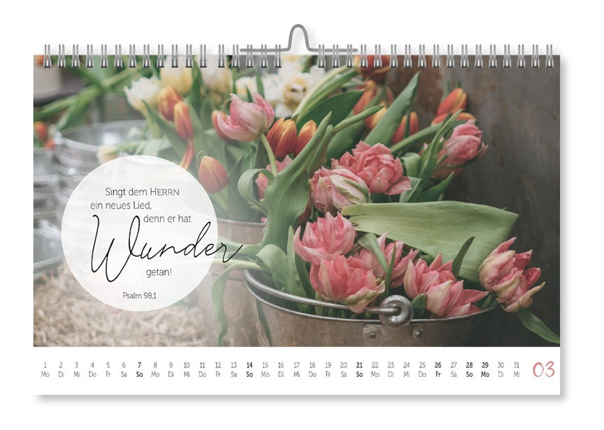 fontis-kalender-home-geborgen-bei-gott-2027-postkartenkalender image 2