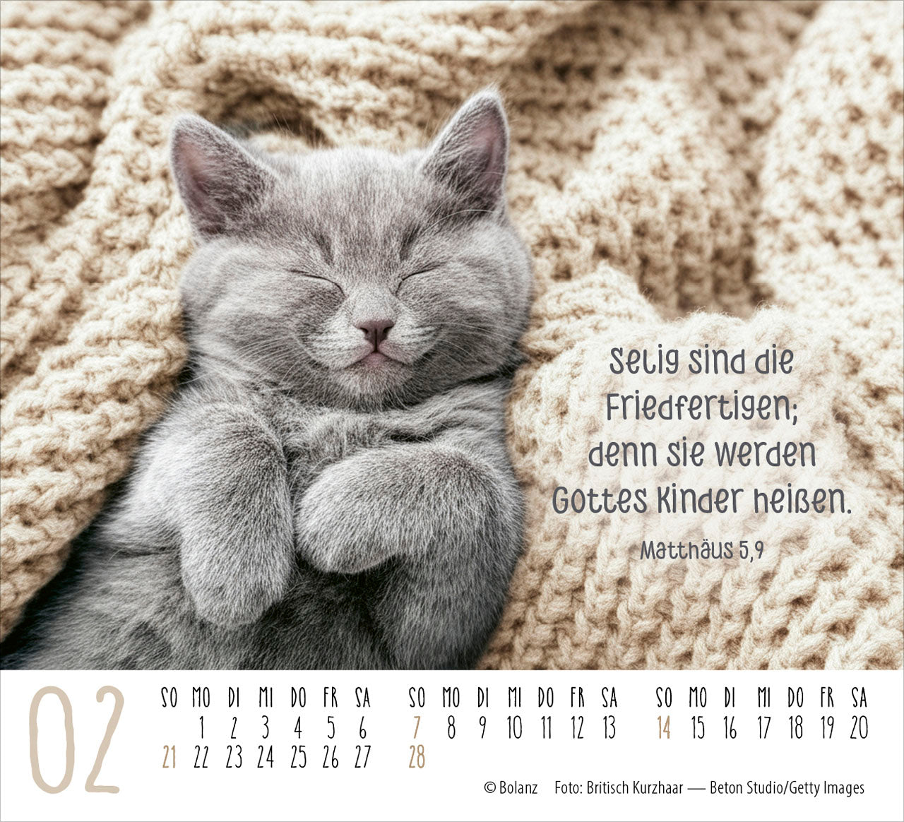 fontis-katzen-2027-minikalender-auf-leisen-pfoten-bibelverse image 4