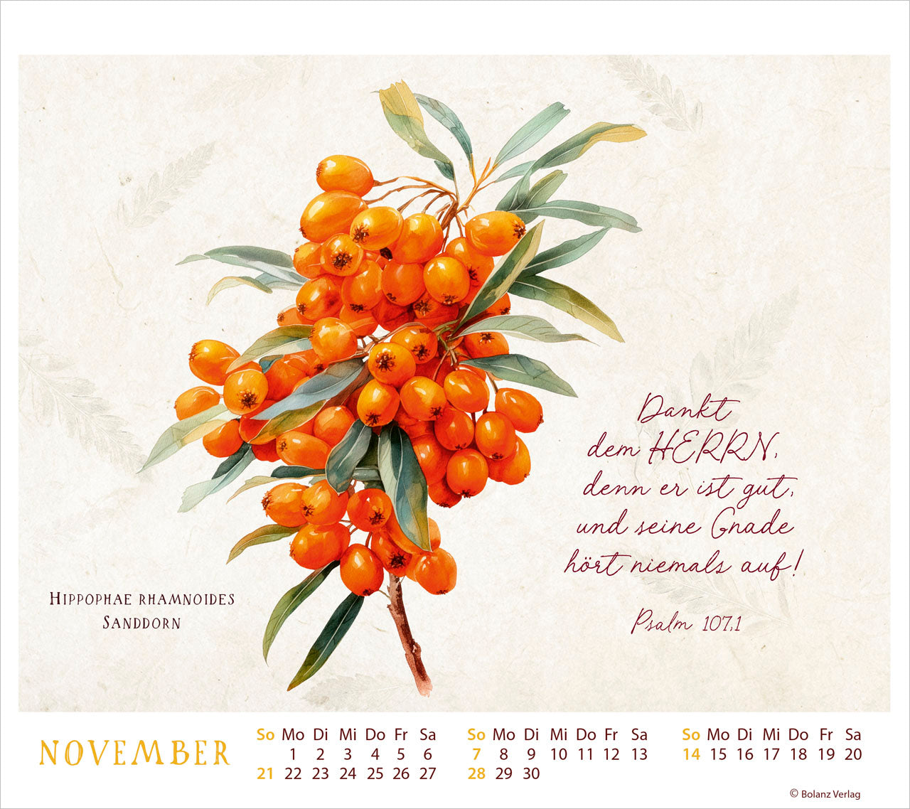 fontis-verlag-meisterwerke-des-sch-pfers-2027-aufstellkalender image 5