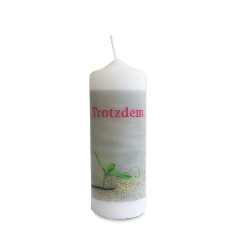 bonifatiuswerk-trotzdem-kerze-wei-6-x-16-5-cm-firmlinge image 1