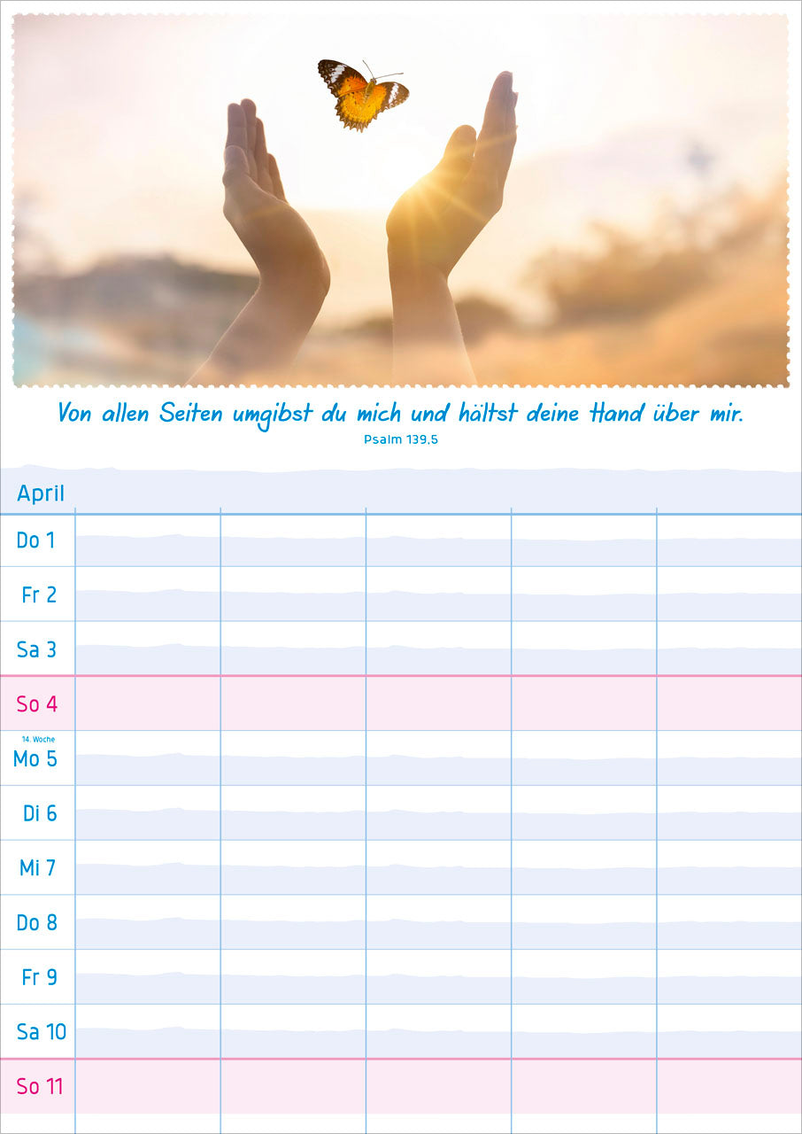 fontis-kalender-multiplaner-2027-wandplaner-5-spalten image 5