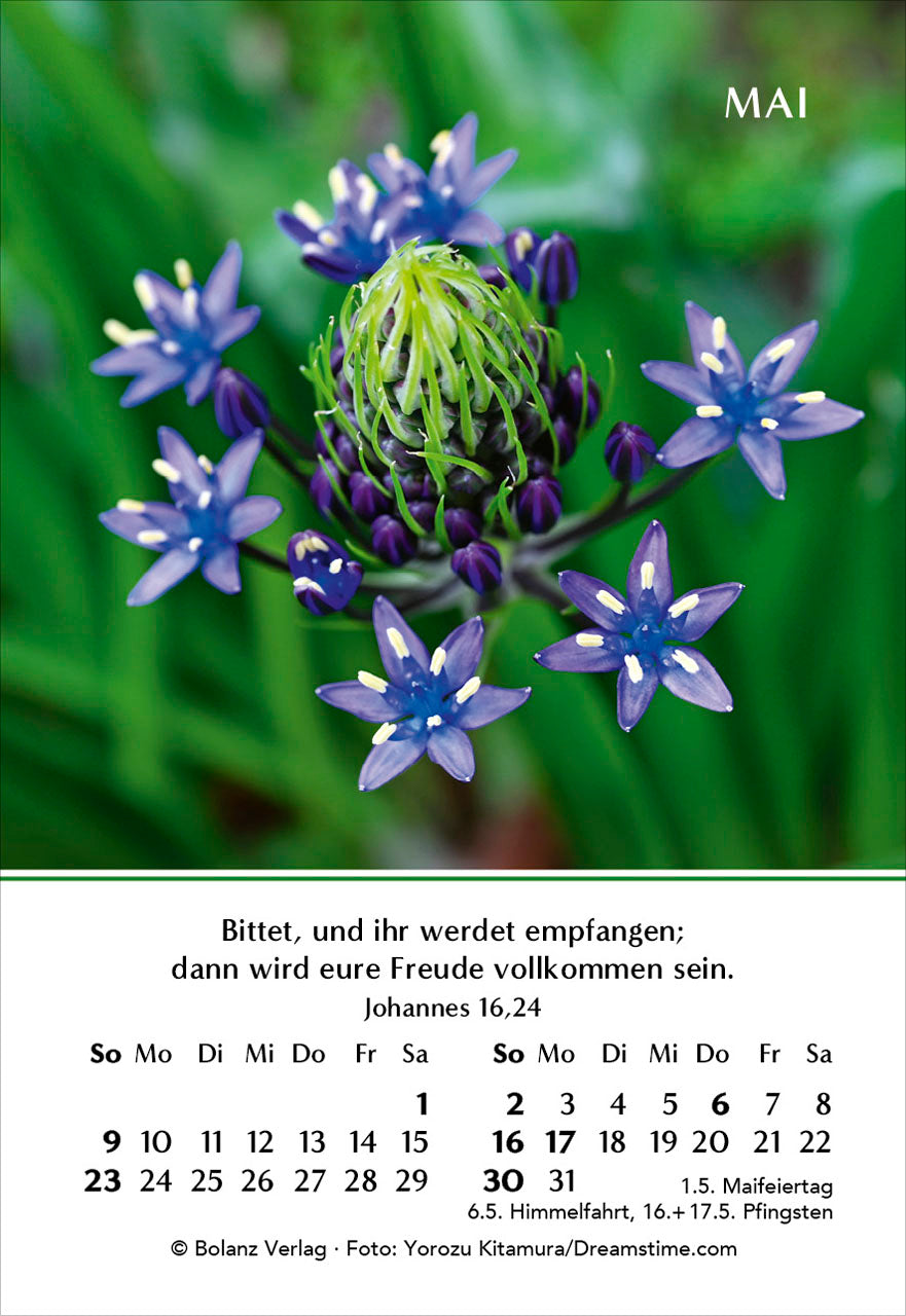 fontis-kalender-ein-jahr-der-freude-2027-minikalender-blumen image 7