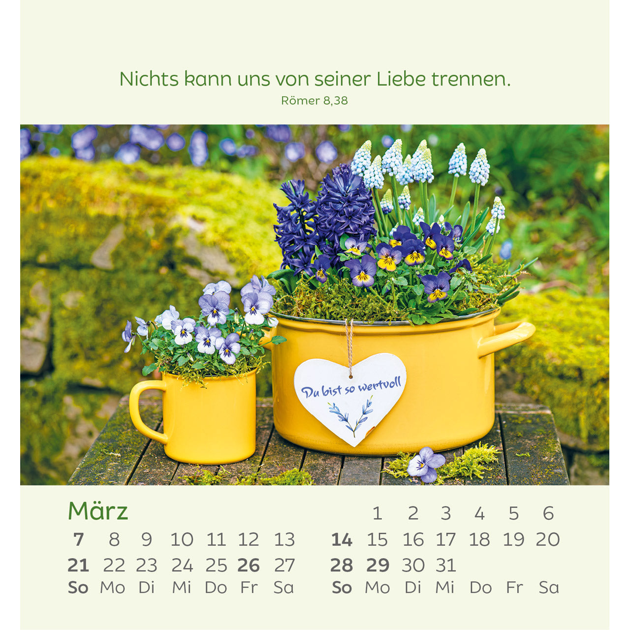 kleine-blumengr-e-2027-aufstellkalender-blumenmotive image 5