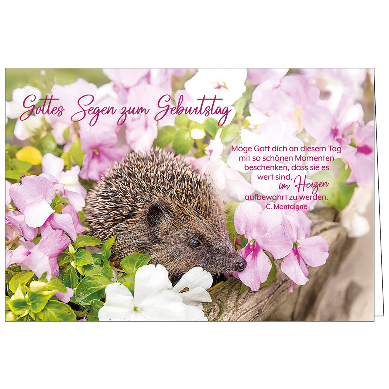 fontis-papeterie-gottes-segen-geburtstag-faltkarte-mit-umschlag image 1