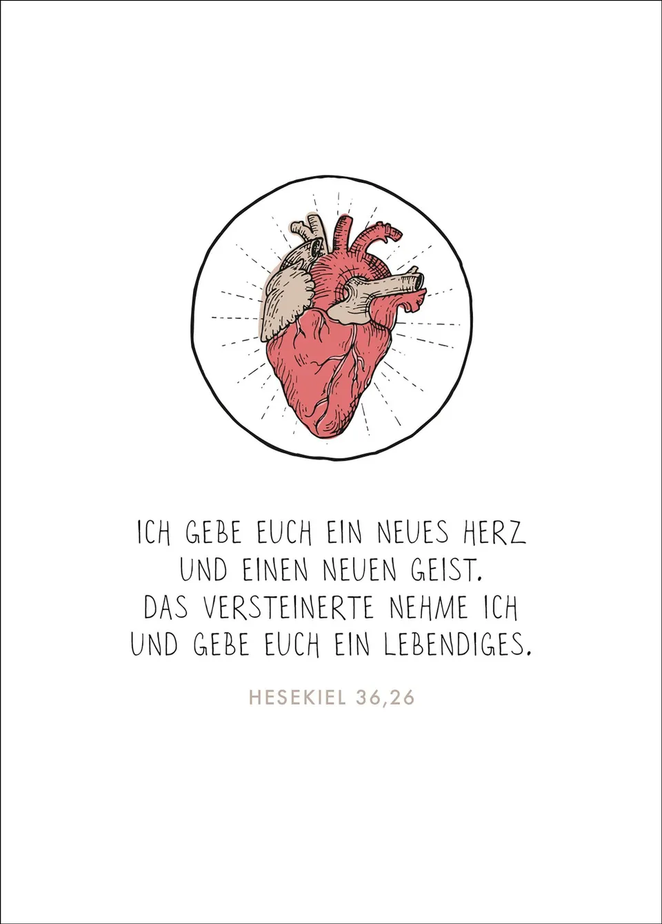 fontis-papeterie-ein-neues-herz-postkarte-hesekiel-36-26 image 1