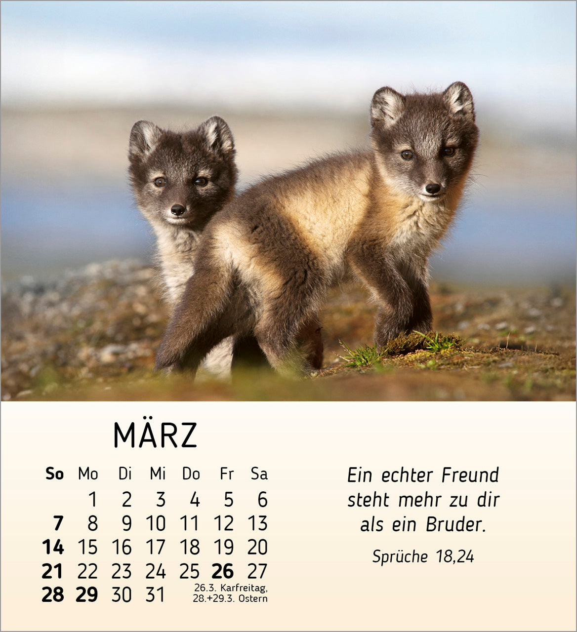 fontis-kalender-meine-kleinen-freunde-2027-aufstellkalender-tiere-kinder image 5