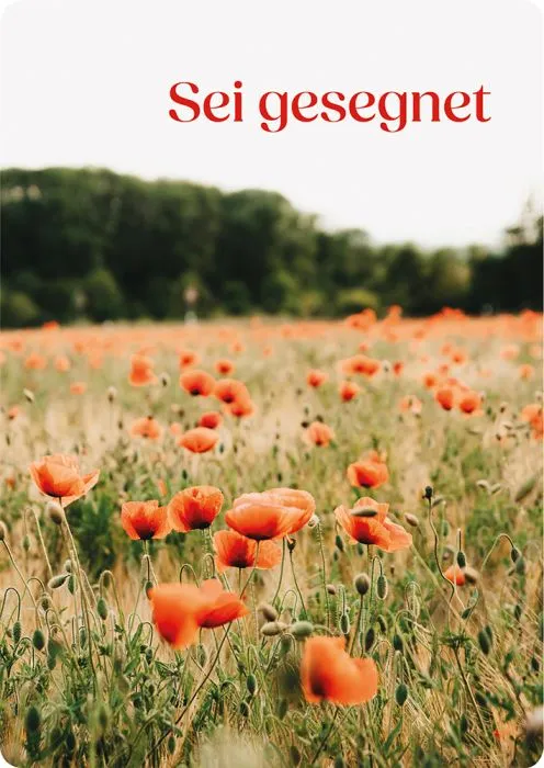 sei-gesegnet-postkarte-psalm-20-5-blessings-segen image 1