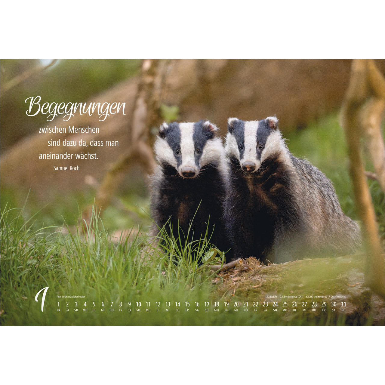 fontis-kalender-real-wildlife-2027-wandkalender image 3