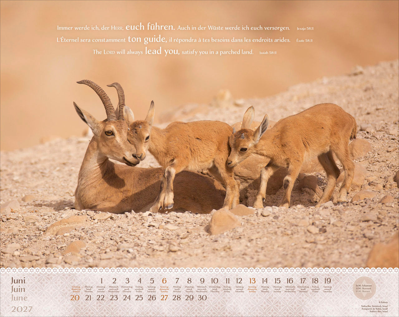 fontis-kalender-israel-shalom-2027-wandkalender-dreisprachig-xxl image 8