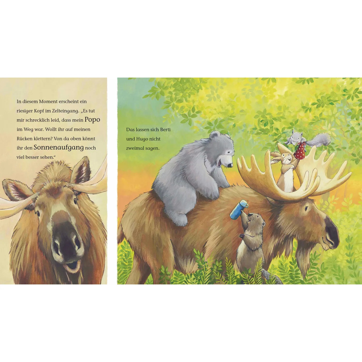 fontis-immer-locker-bleiben-berti-bilderbuch-ab-3-jahre-camping image 4
