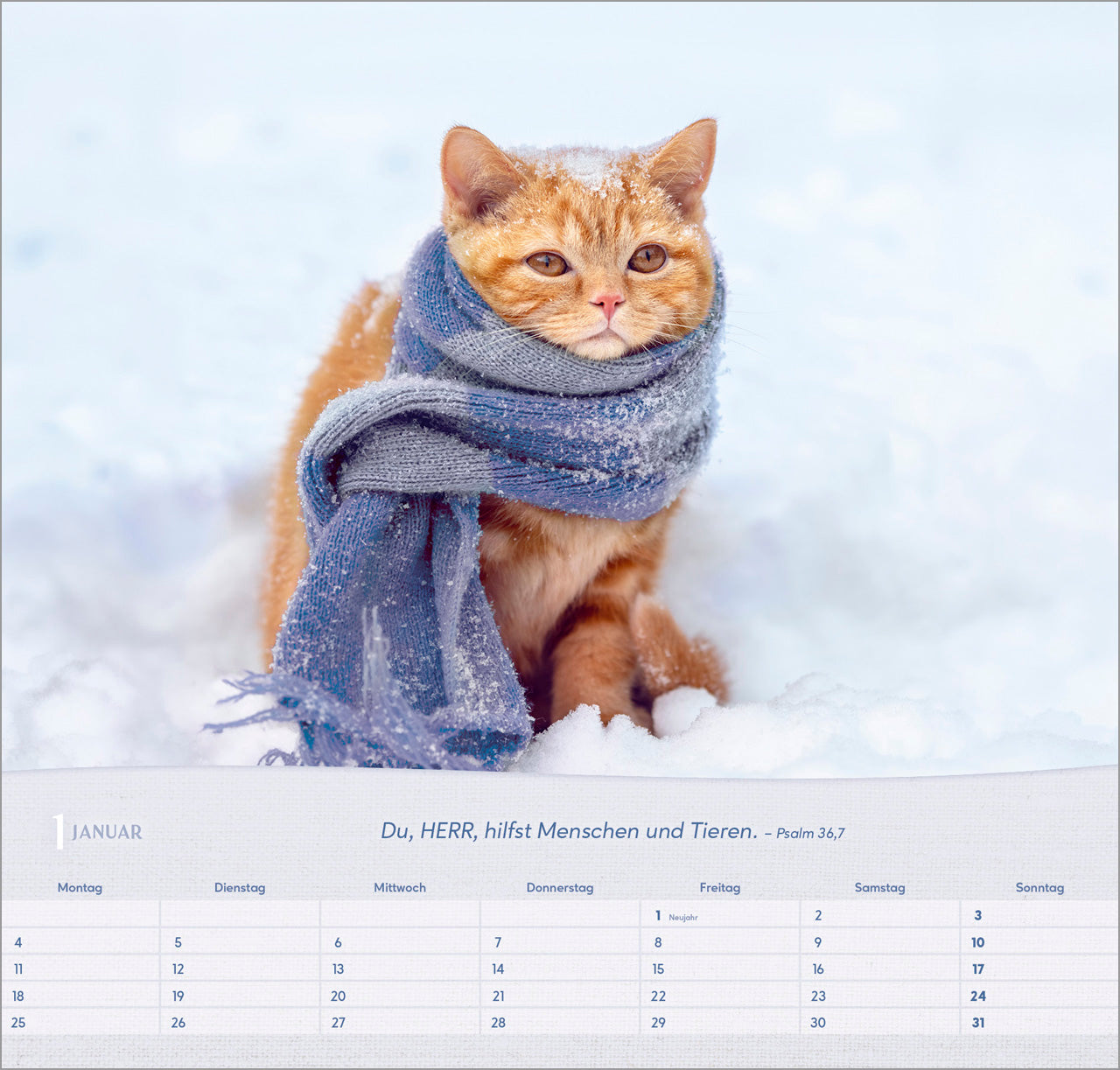 katzen-2027-wandkalender-spiralbindung-bibelvers-33-5x32 image 3