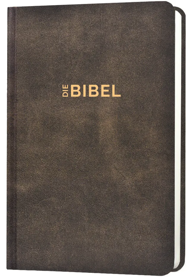 schlachter-bibel-2000-taschenausgabe-antikleder-optik-bibel image 1