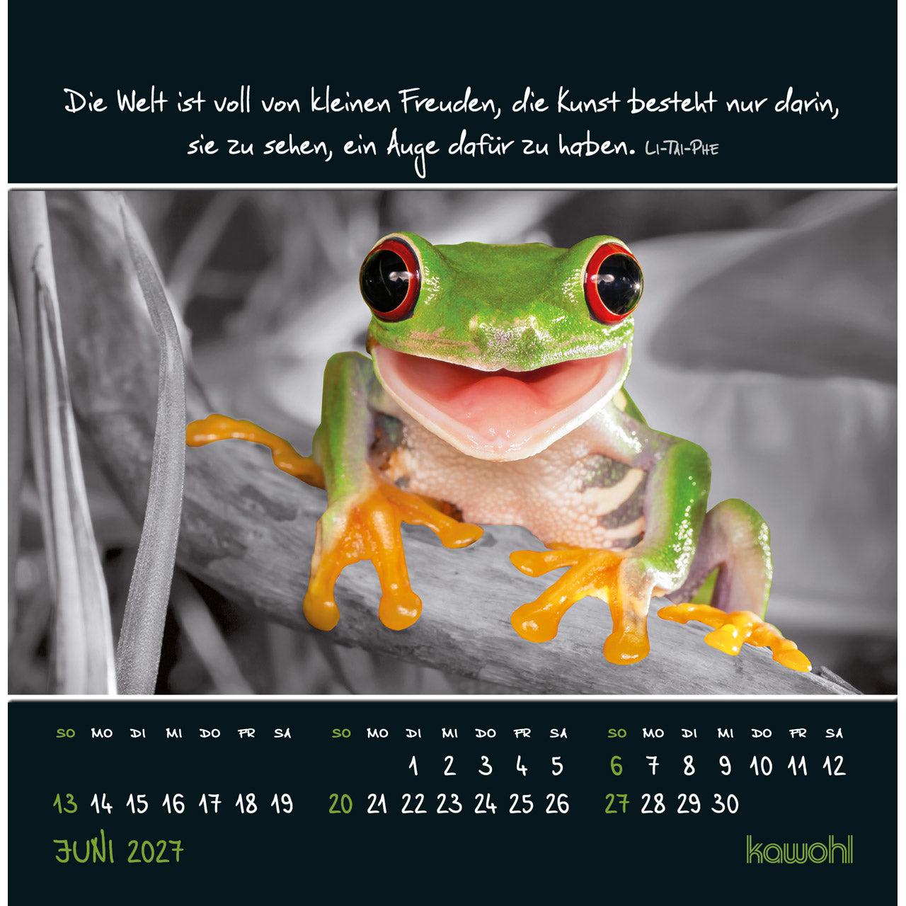 kleine-wunder-sehen-2027-postkartenkalender-16x16 image 8