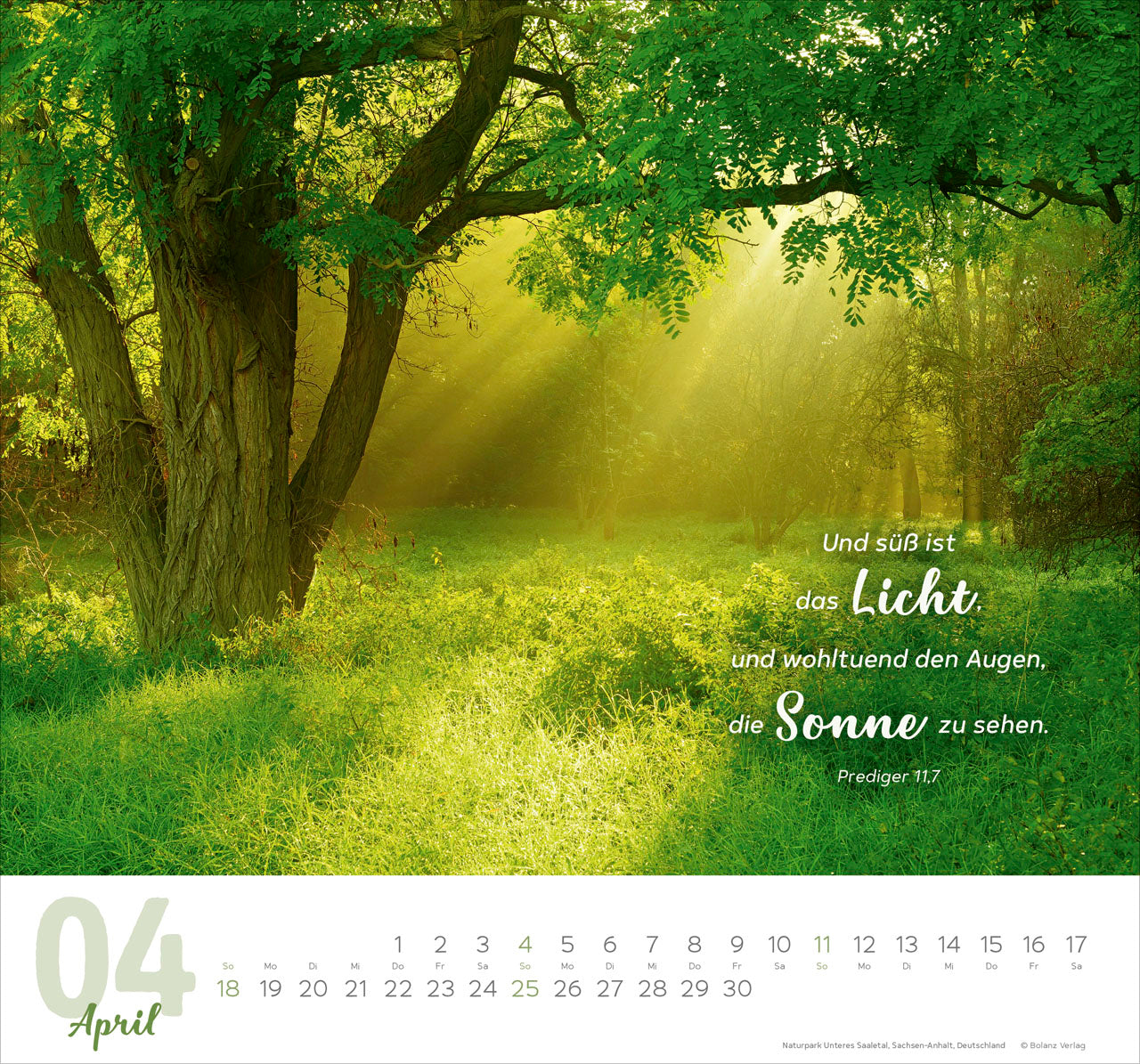 meine-zeit-2027-wandkalender-hoffnung-vertrauen-45x42-cm image 6