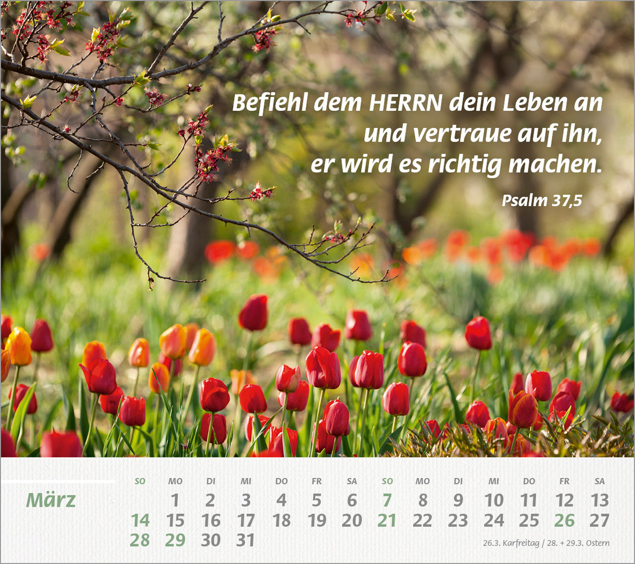 fontis-du-bist-meine-st-rke-2027-postkartenkalender image 5