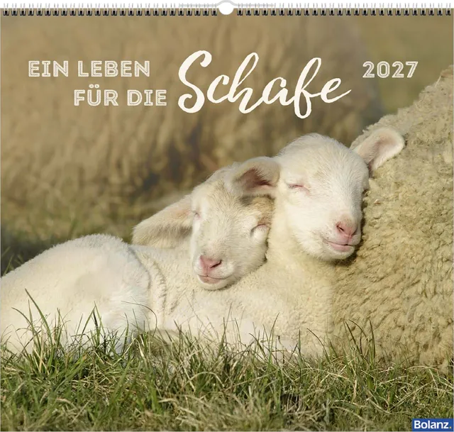 fontis-kalender-ein-leben-f-r-die-schafe-2027-wandkalender image 1
