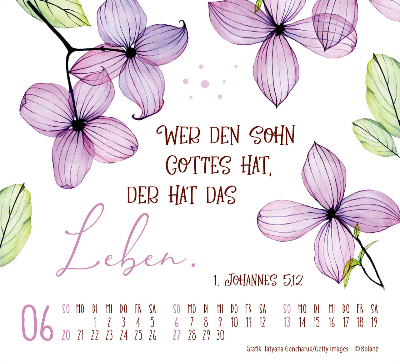 fontis-kalender-gesch-tzt-in-seiner-hand-2027-minikalender-blumen image 8