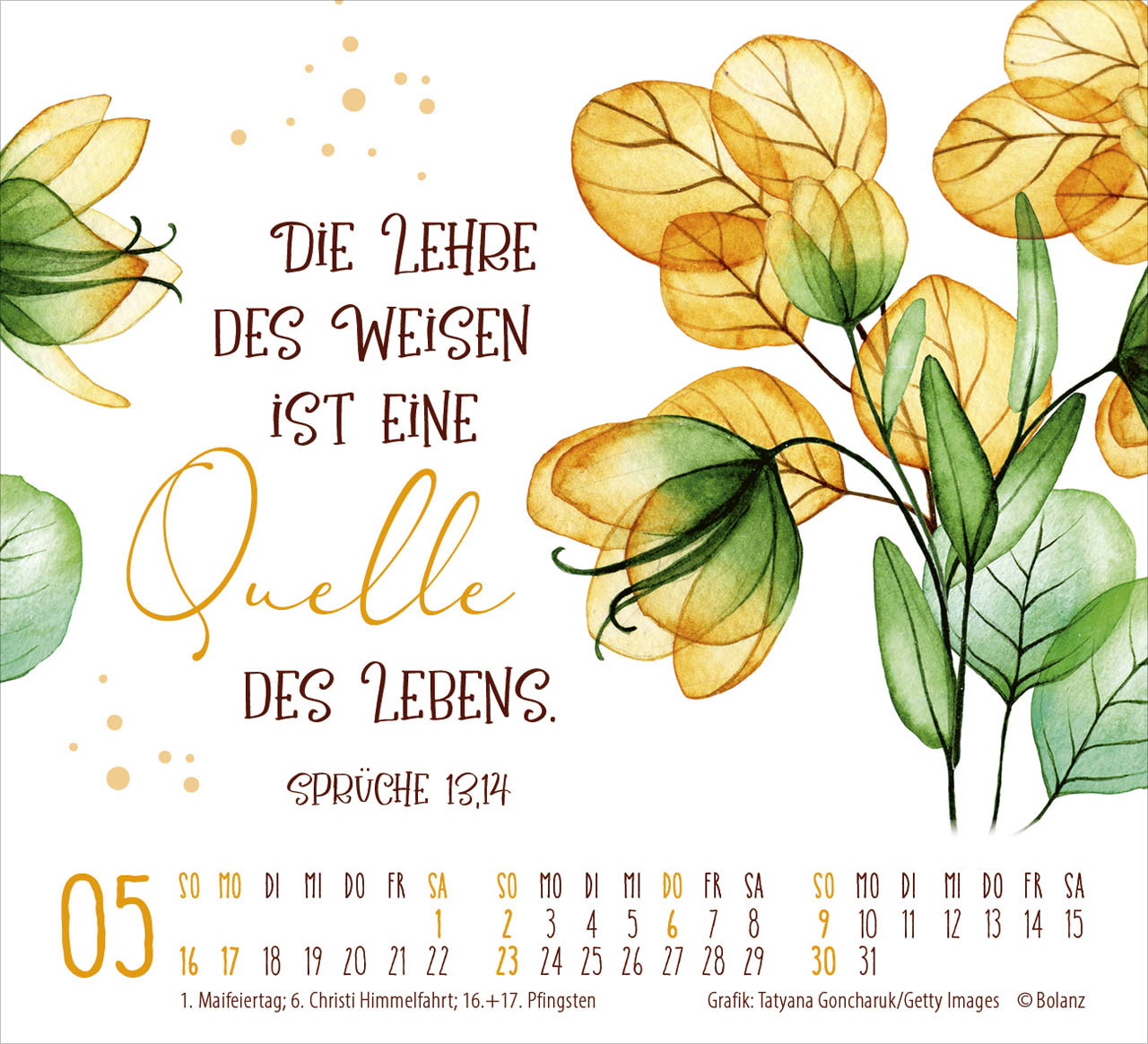 fontis-kalender-gesch-tzt-in-seiner-hand-2027-minikalender-blumen image 7