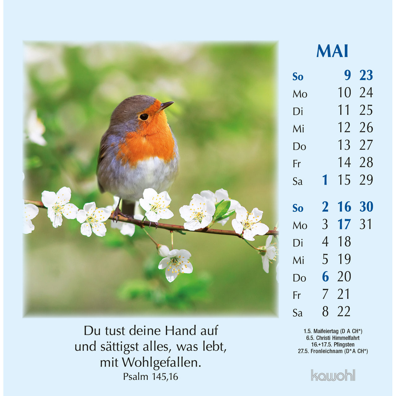 fontis-kalender-worte-des-lebens-2027-postkartenkalender-mit-psalmen image 7
