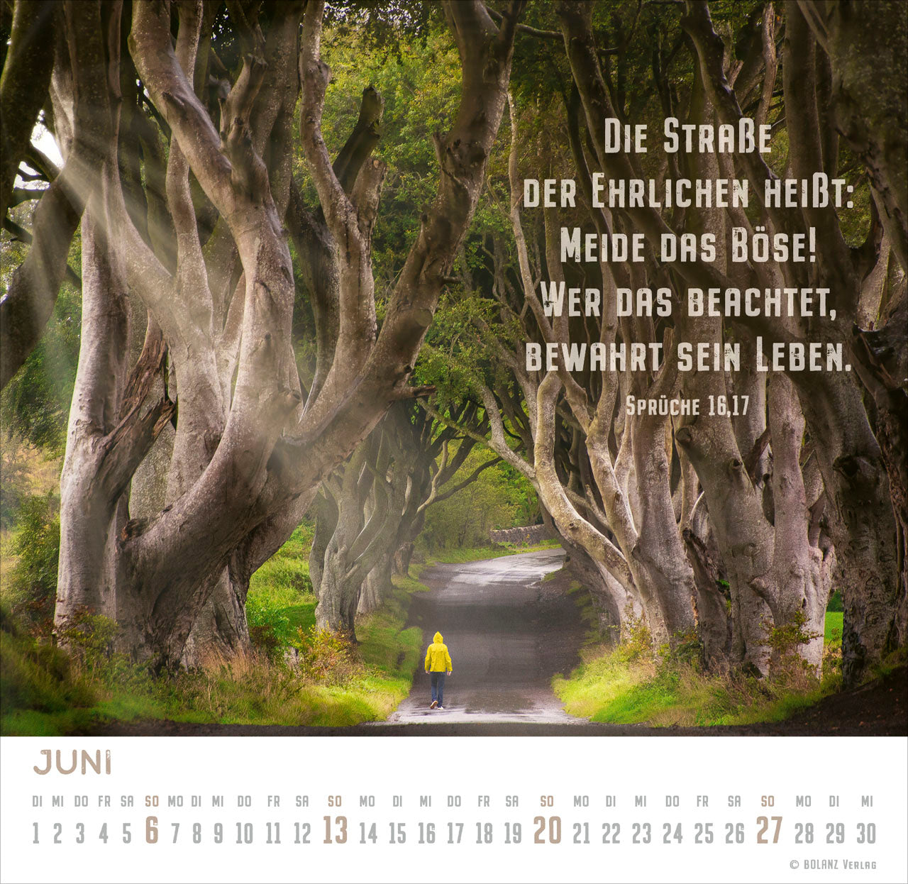 fontis-kalender-freiheit-2027-aufstellkalender-bibelverse-postkarten image 8
