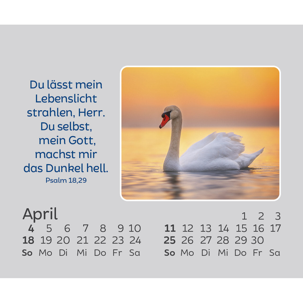 hoffnung-f-r-jeden-tag-2027-aufstellkalender-mini-kawohl image 6