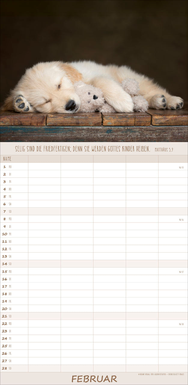 fontis-kalender-hunde-freunde-f-rs-leben-2027-familienplaner image 4