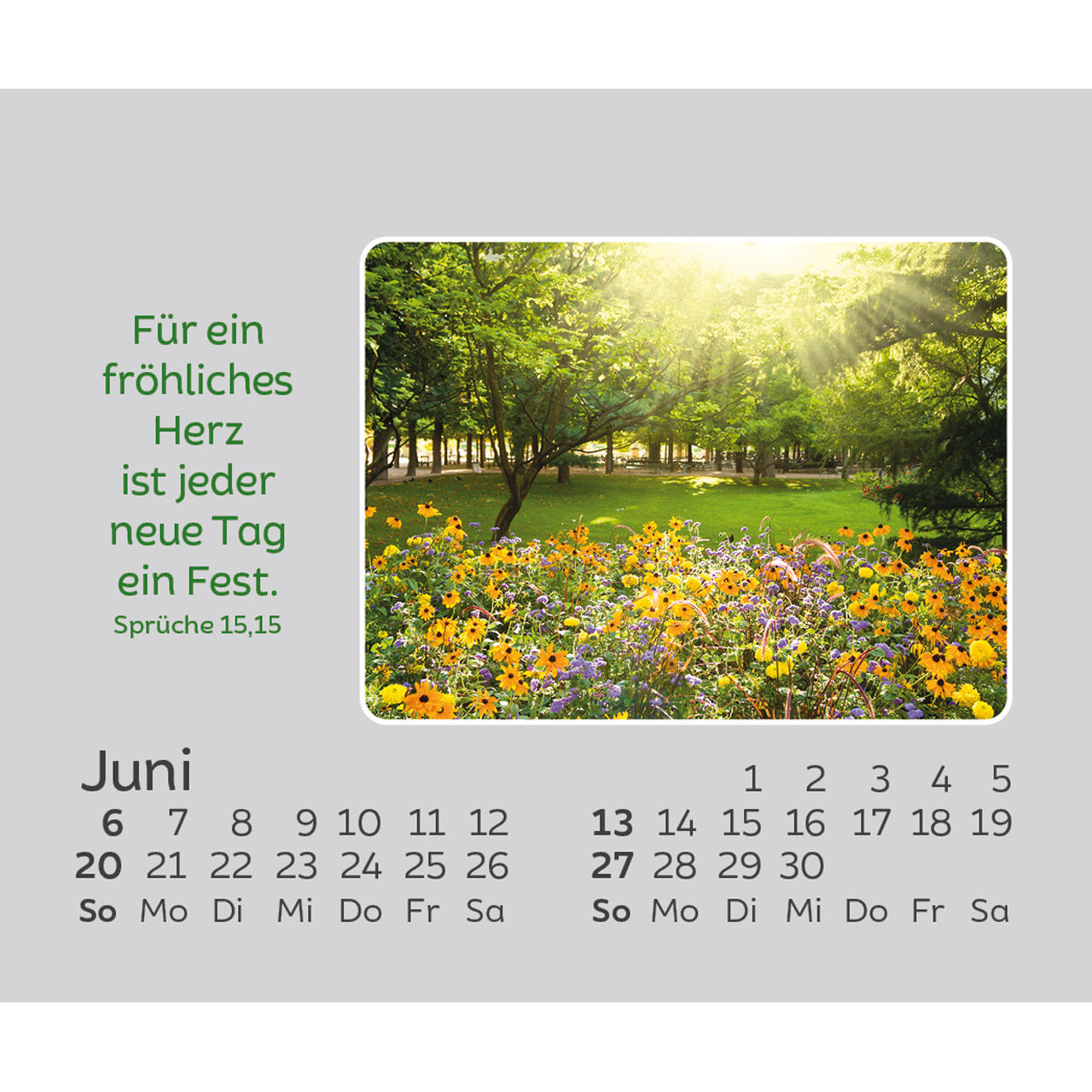 fontis-freude-f-r-jeden-tag-2027-aufstellkalender-mini-blumen image 8
