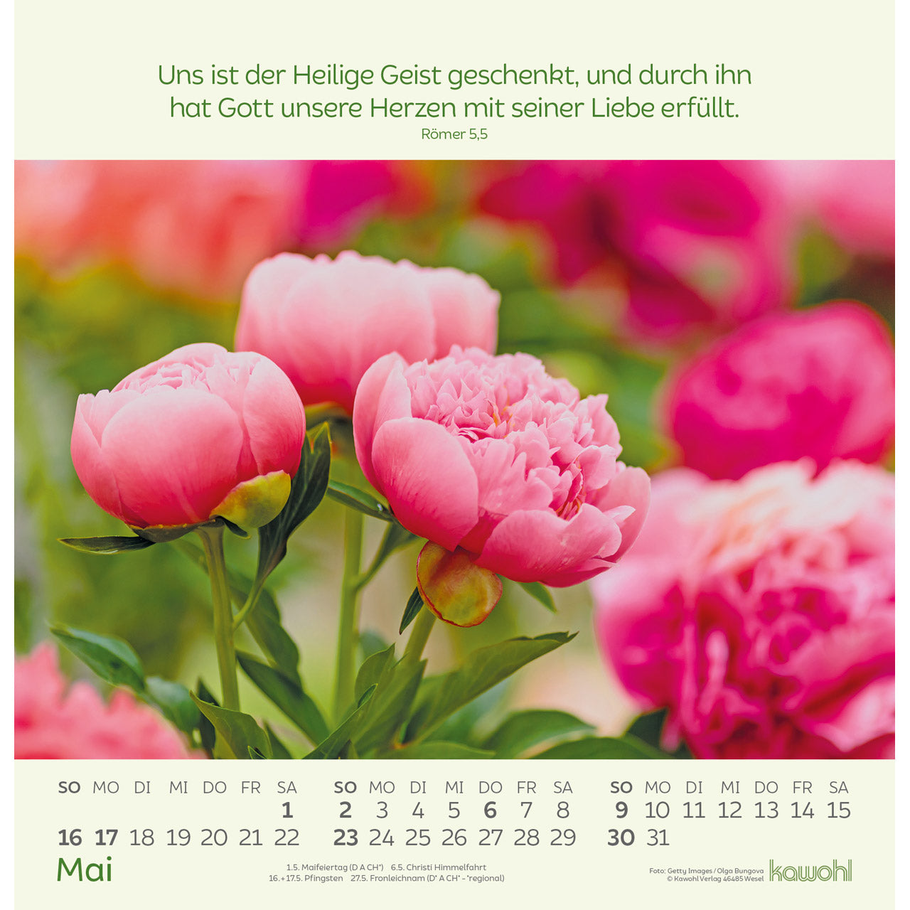 fontis-kalender-blumengr-e-2027-wandkalender-blumen image 7