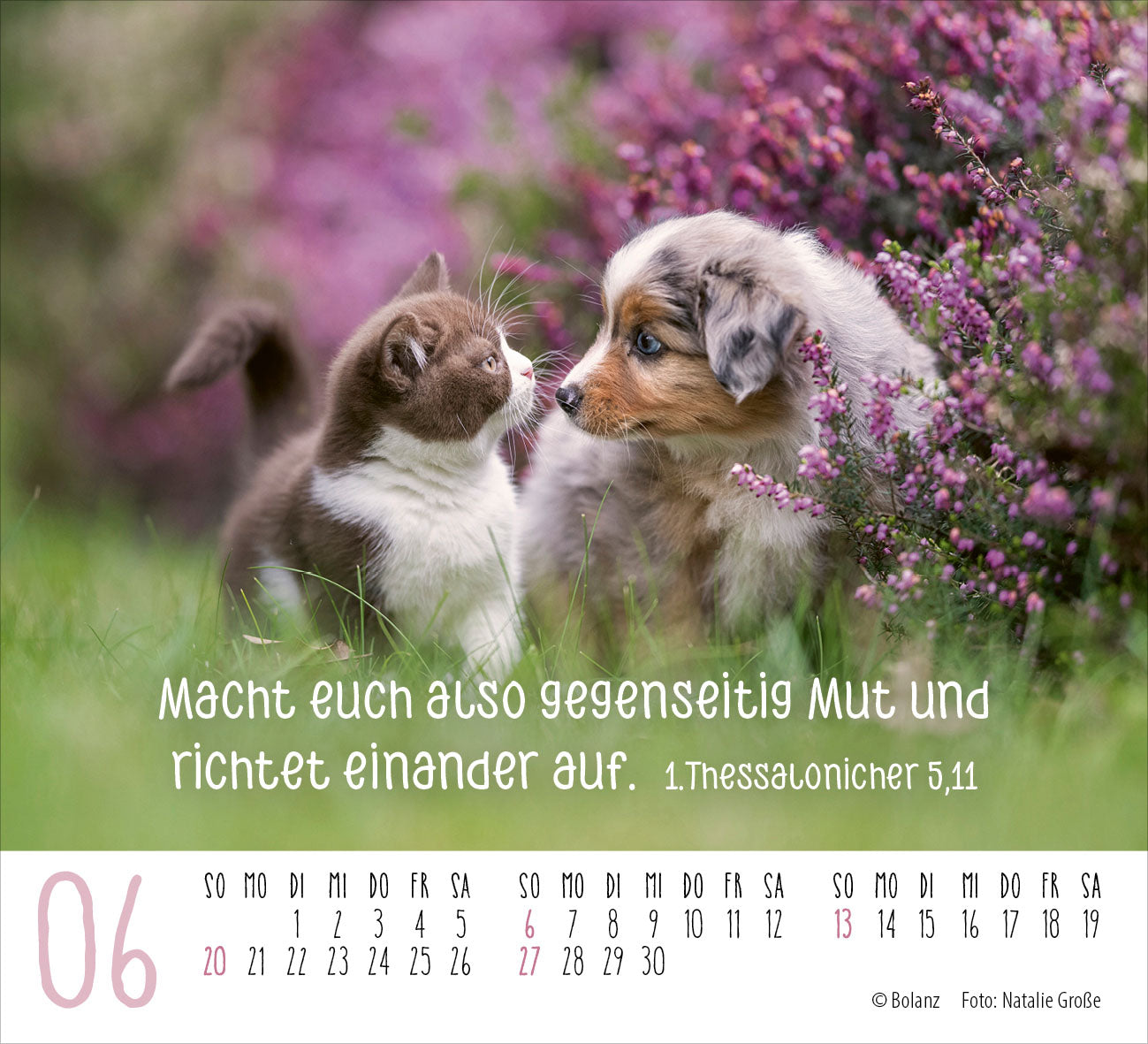 fontis-begegnungen-dich-vergess-ich-nie-minikalender-2027 image 8