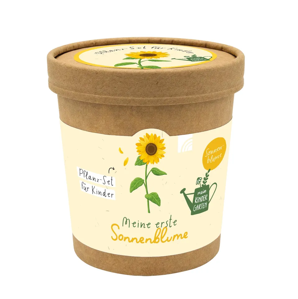 fontis-meine-erste-sonnenblume-pflanz-set-geschenk-kinder image 1