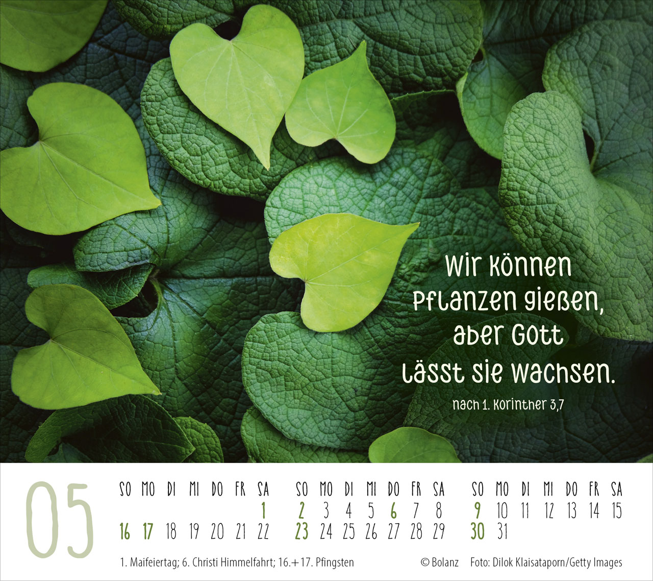 fontis-kalender-gute-w-nsche-f-r-dich-2027-tischkalender-bibelverse image 7