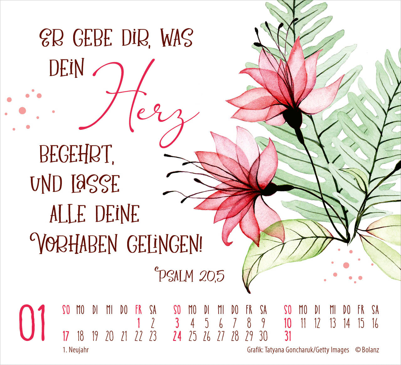 fontis-kalender-gesch-tzt-in-seiner-hand-2027-minikalender-blumen image 3